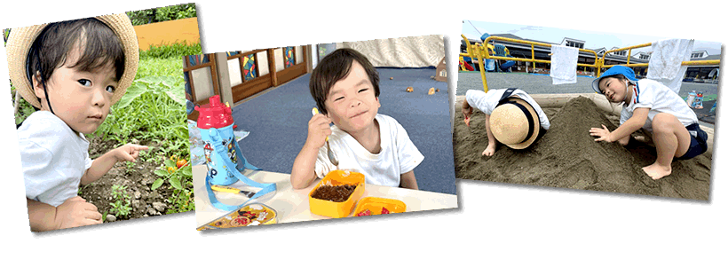 保育情報の写真